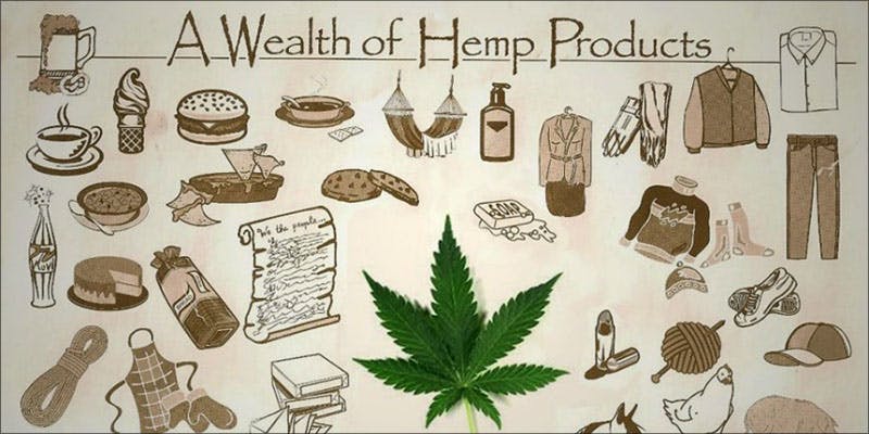 Move Aside Tobacco 1 Kentucky Tobacco Farmers Are Making A Surprise Switch To Hemp