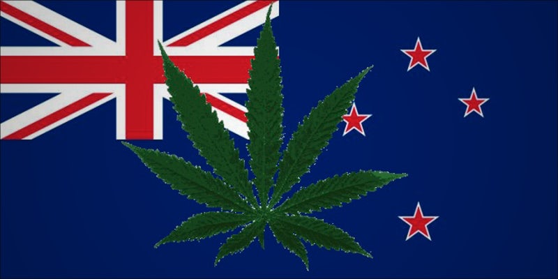NZ Medical Cannabis 3 Quickest Detox: How to Get Weed Out of Your System