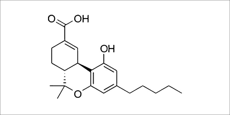 THC COOH 21 Shocking Weed Facts That Will Make You Say OMG