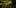 What Are The 2 11 Best Clear Headed Sativa Strains To Help You Concentrate