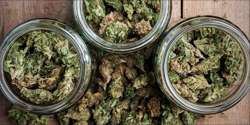 What Is The hero 6 Easy Hacks To Smoke Weed Every Day And Stay Productive