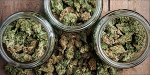 New Oregon Law Allows For Anonymous Cannabis Shopping