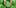 growweed 11 Best Clear Headed Sativa Strains To Help You Concentrate