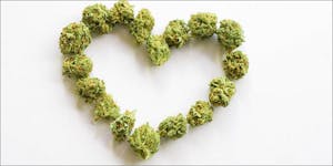 Five Perfect Strains For Lovers To Share On Valentine’s Day