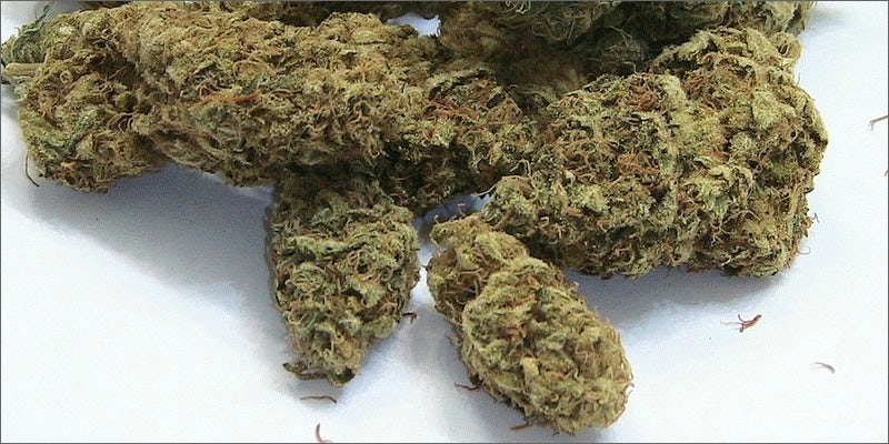 kali mist Quickest Detox: How to Get Weed Out of Your System