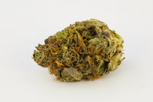 Loud Dream Marijuana Strain