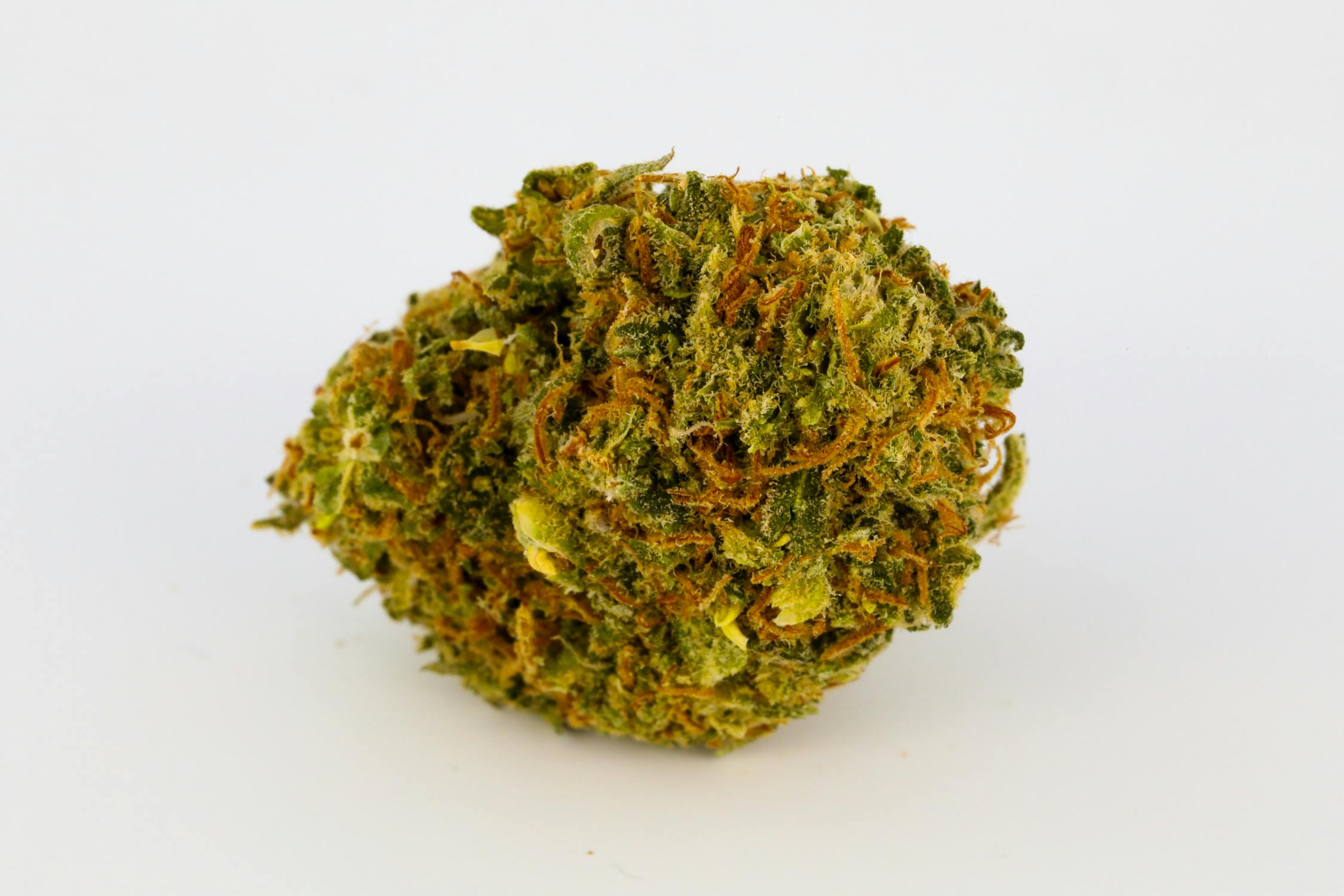 Snoop's Dream Weed; Snoop's Dream Cannabis Strain; Snoop's Dream Hybrid Marijuana Strain