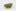 Ewok Weed; Ewok Cannabis Strain; Ewok Indica Marijuana Strain