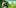 10 Best Weed 6 10 Answers To The Most Commonly Asked Questions About Weed