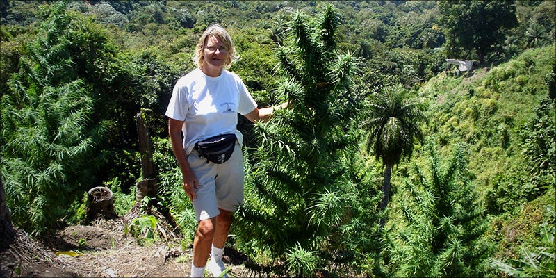 10 Top Rated 3 10 States With The Best Medical Cannabis Access