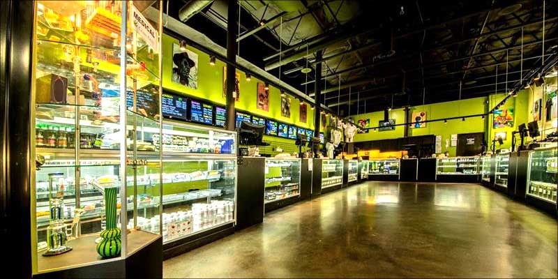 11 Female Owned 1 10 Female Owned Cannabis Enterprises Blazing A Trail In The Industry