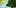 11 WTF Pictures 1 10 Answers To The Most Commonly Asked Questions About Weed