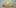 7 Strains That 1 10 Answers To The Most Commonly Asked Questions About Weed