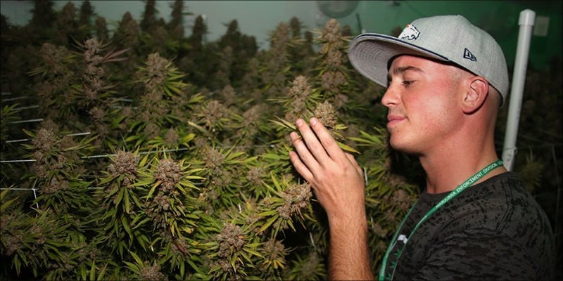 7 Ways To 4 7 Ways To Smoke Weed And Still Get Shit Done