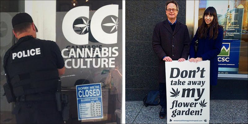 Cannabis Culture