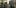 Door Busting Drug 1 Terrifying Door Busting Drug Raids Are Leaving A Trail Of Blood