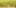 How Is Hemp 1 10 Answers To The Most Commonly Asked Questions About Weed