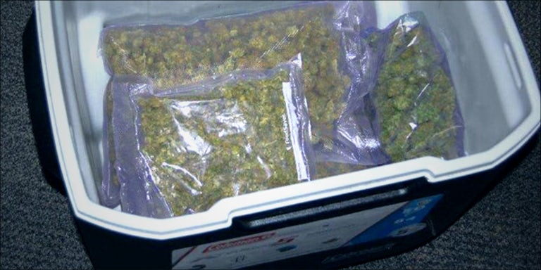 Marijuana Filled Cooler 1 Theres a Pro Weed Church in Alabama That Gets High to Praise God