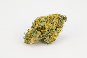 Marionberry Kush Marijuana Strain