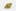 Marionberry Kush weed; Marionberry Kush Cannabis Strain; Marionberry Kush Hybrid Marijuana Strain