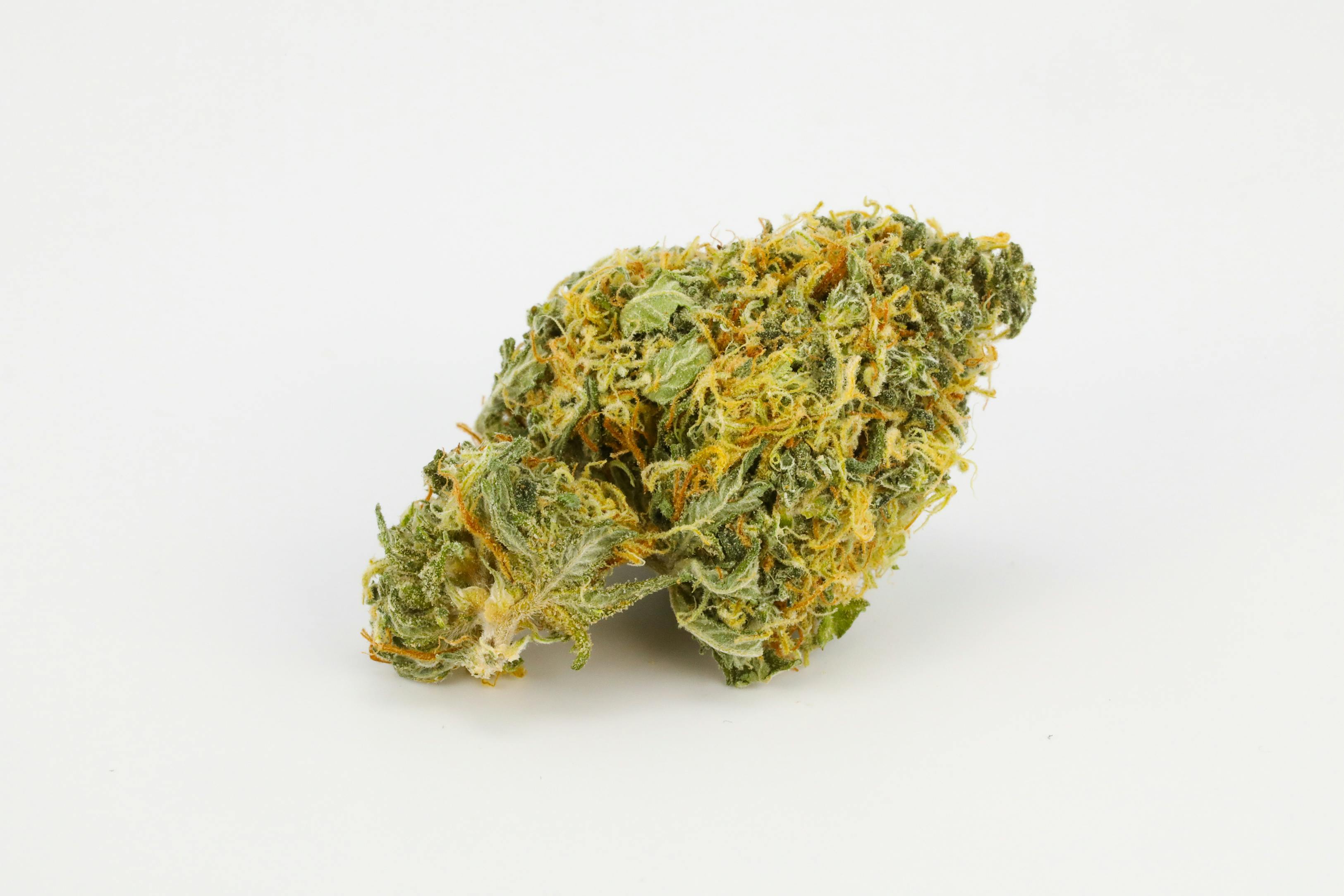 Marionberry Kush weed; Marionberry Kush Cannabis Strain; Marionberry Kush Hybrid Marijuana Strain