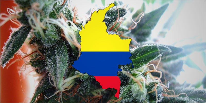 TOP 10 PLACES 10 10 Countries That Grow the Worlds Best Weed