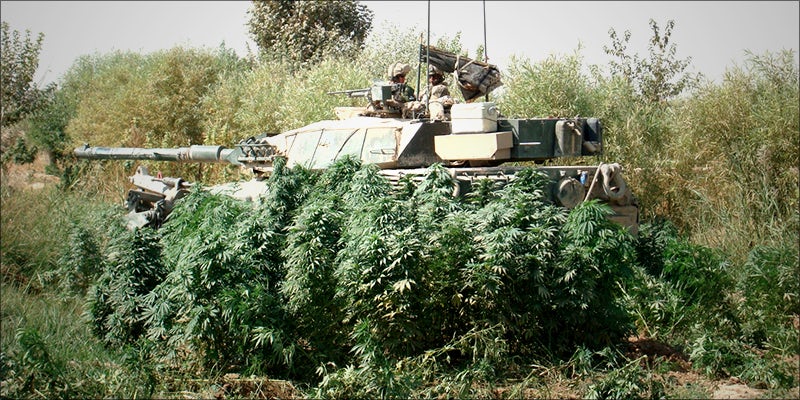 TOP 10 PLACES 5 10 Countries That Grow the Worlds Best Weed