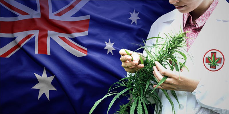 TOP 10 PLACES 6 10 Countries That Grow the Worlds Best Weed