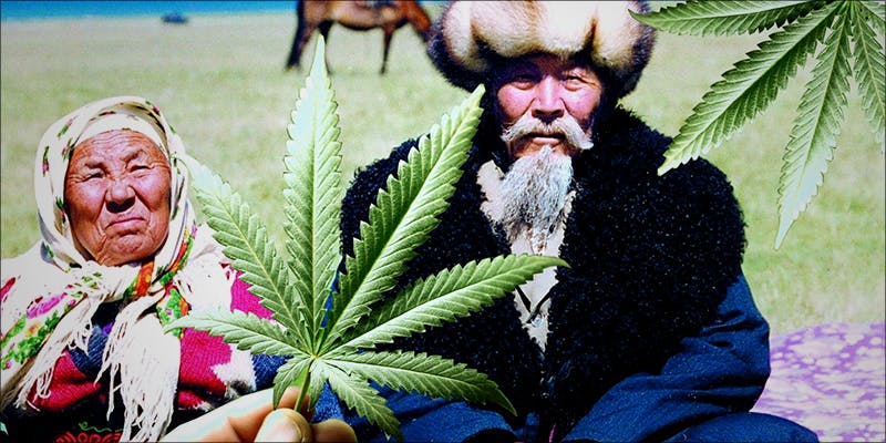 TOP 10 PLACES 7 10 Countries That Grow the Worlds Best Weed