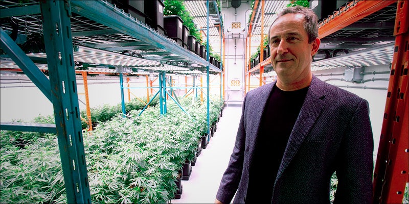 Third Lawsuit Launched 1 Third Lawsuit Launched In Canada Over Contaminated Cannabis