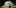 Whats The Difference 3 10 Answers To The Most Commonly Asked Questions About Weed