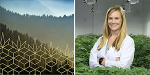 Dr. Allison Justice: We Must Keep Pushing Cannabis Forward