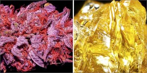 Which Is Best: Dabbing VS Flower Edition
