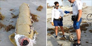 Mysterious 10-Pound “Giant Blunt” Washes Up On Florida Beach