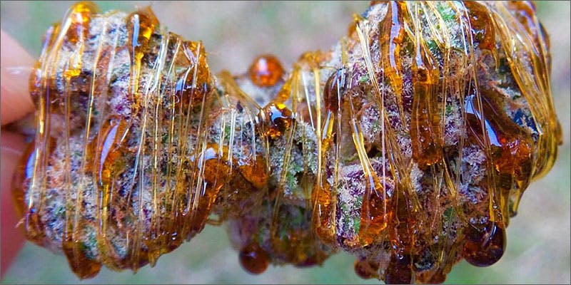 21 Times Karl Kronic Had The Dopest Buds On Instagram