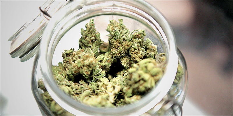 washington 10 States With The Best Medical Cannabis Access