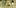 10 Best Indicas 6 10 Best Indica Strains To Round Off Your 420 Celebrations