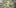 10 Best Indicas 7 10 Best Indica Strains To Round Off Your 420 Celebrations