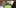 10 Thoughts Budtenders 1 10 Best Indica Strains To Round Off Your 420 Celebrations