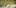 20 420 Essentials 4 10 Best Indica Strains To Round Off Your 420 Celebrations