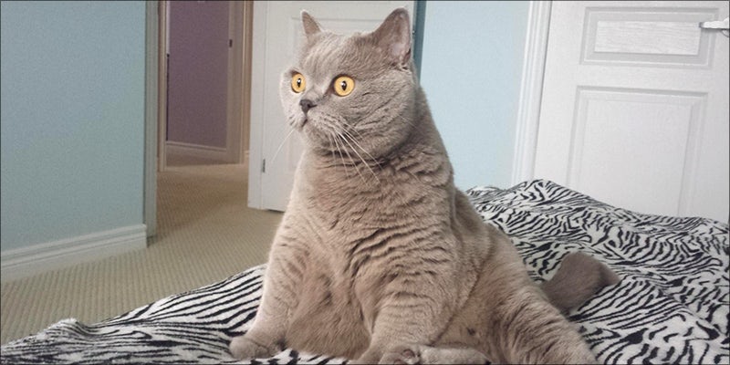 27 Ways To 19 10 Reasons Everyone Should Try Vaping At Least Once