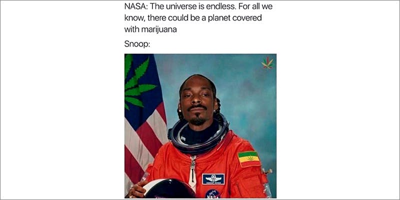 50 Weed Memes 1 50 Hilarious Weed Memes That Will Keep You Laughing For Hours