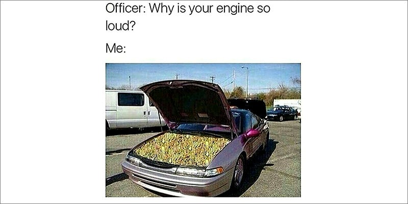 50 Weed Memes 10 50 Hilarious Weed Memes That Will Keep You Laughing For Hours