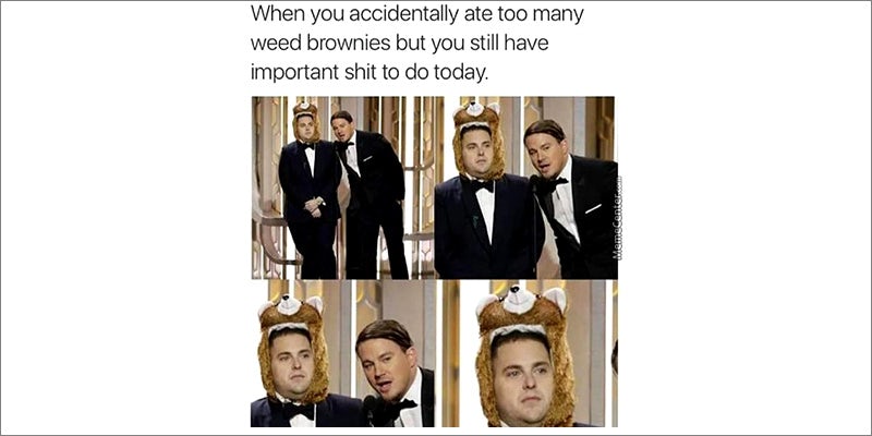 50 Weed Memes 18 50 Hilarious Weed Memes That Will Keep You Laughing For Hours