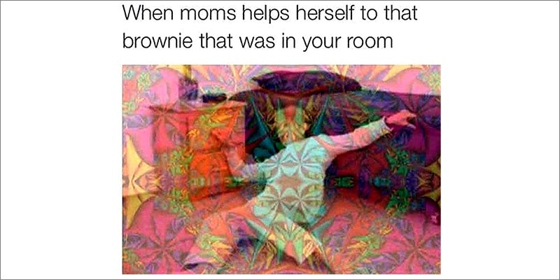 50 Weed Memes 3 50 Hilarious Weed Memes That Will Keep You Laughing For Hours