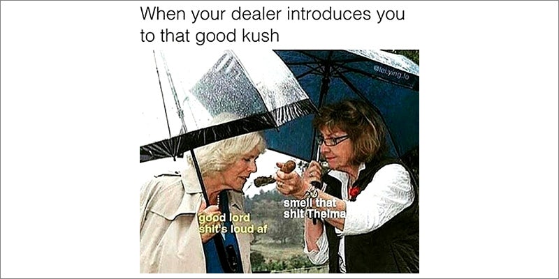 50 Weed Memes 4 50 Hilarious Weed Memes That Will Keep You Laughing For Hours