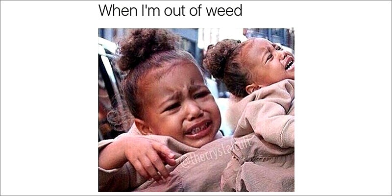 50 Weed Memes 6 50 Hilarious Weed Memes That Will Keep You Laughing For Hours