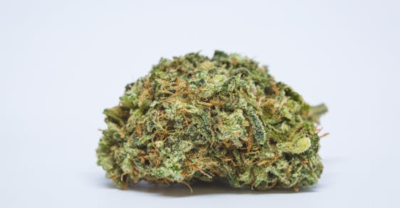 Doug's Varin Weed; Doug's Varin Cannabis Strain; Doug's Varin Sativa Marijuana Strain