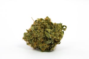 Blue Magoo Marijuana Strain