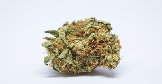 Chernobyl Strain